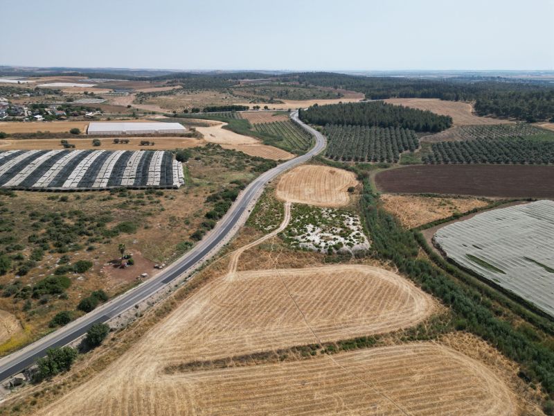 דיני מושבים, קיבוצים ומגזר חקלאי