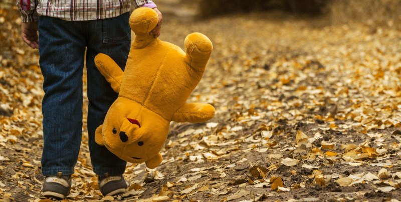 חטיפת ילדים בישראל ילד מחזיק דובי הפוך עומד לבד על עלי שלכת